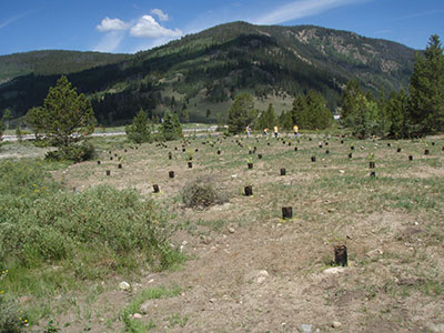 ecological-restoration